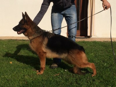 Ulli di Casa Josè