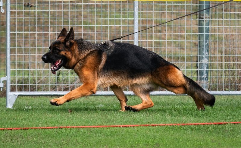 Leotta di Casa Josè