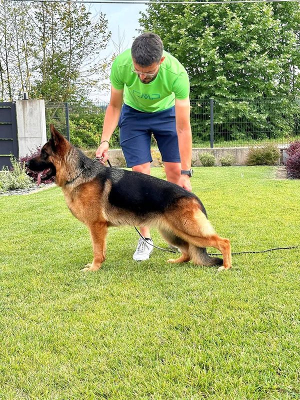 Leotta di Casa Josè