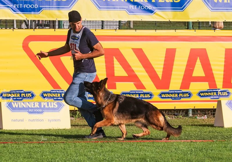 Leotta di Casa Josè