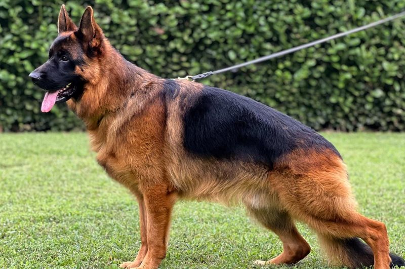 Mito di Casa Beggiato