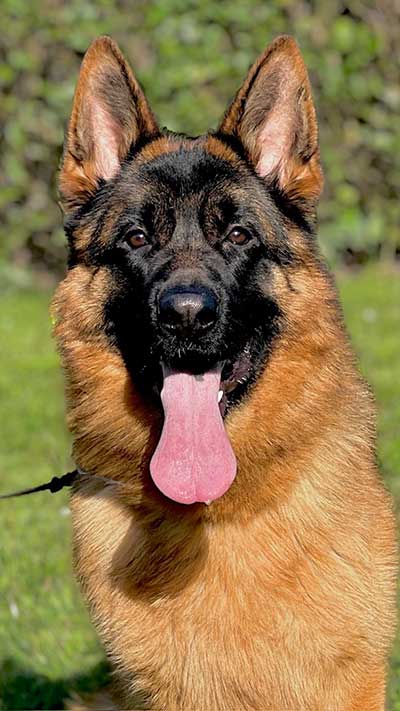 Mito di Casa Beggiato