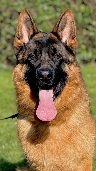 Mito di Casa Beggiato